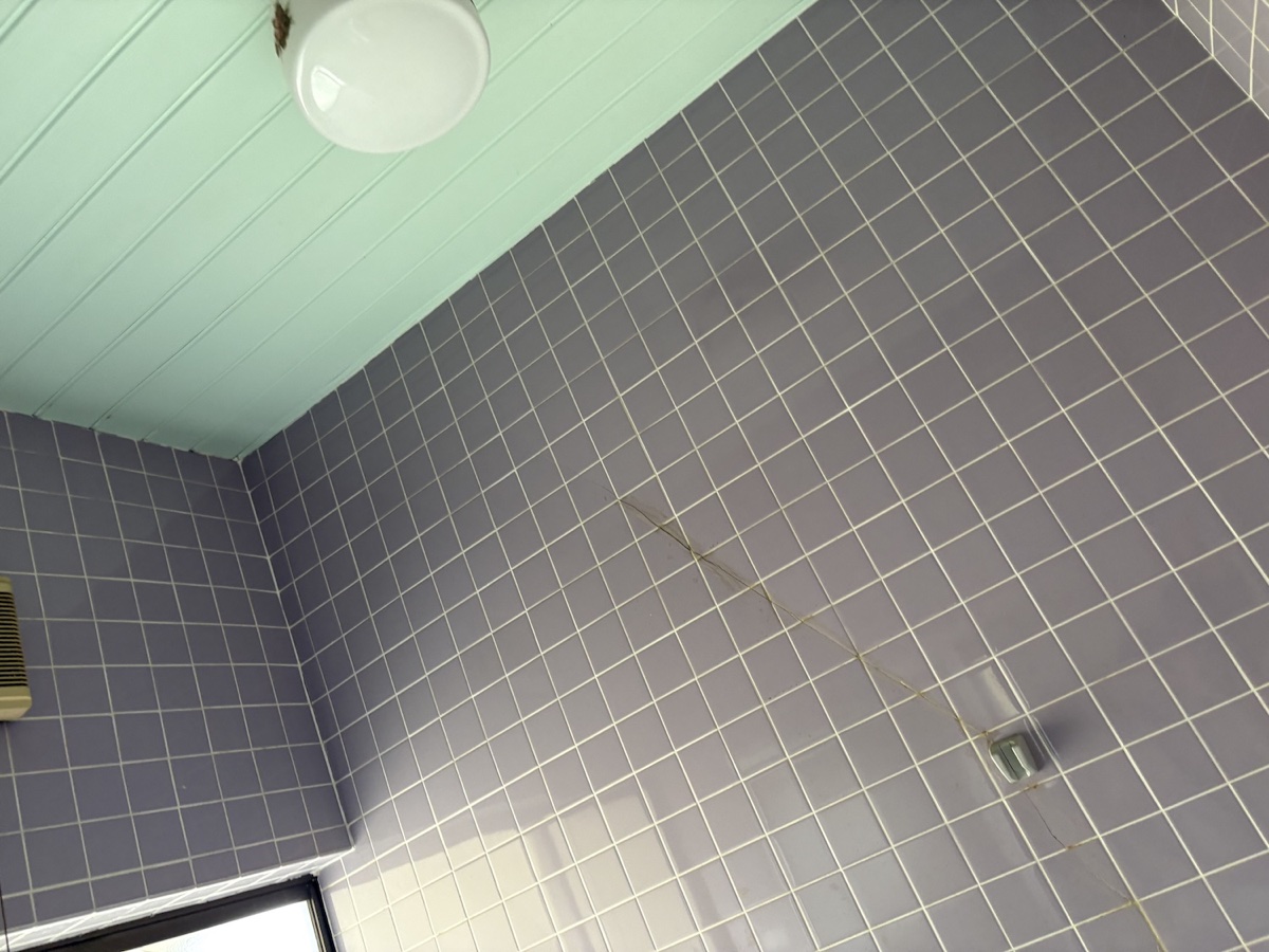 壁のひび割れアップ