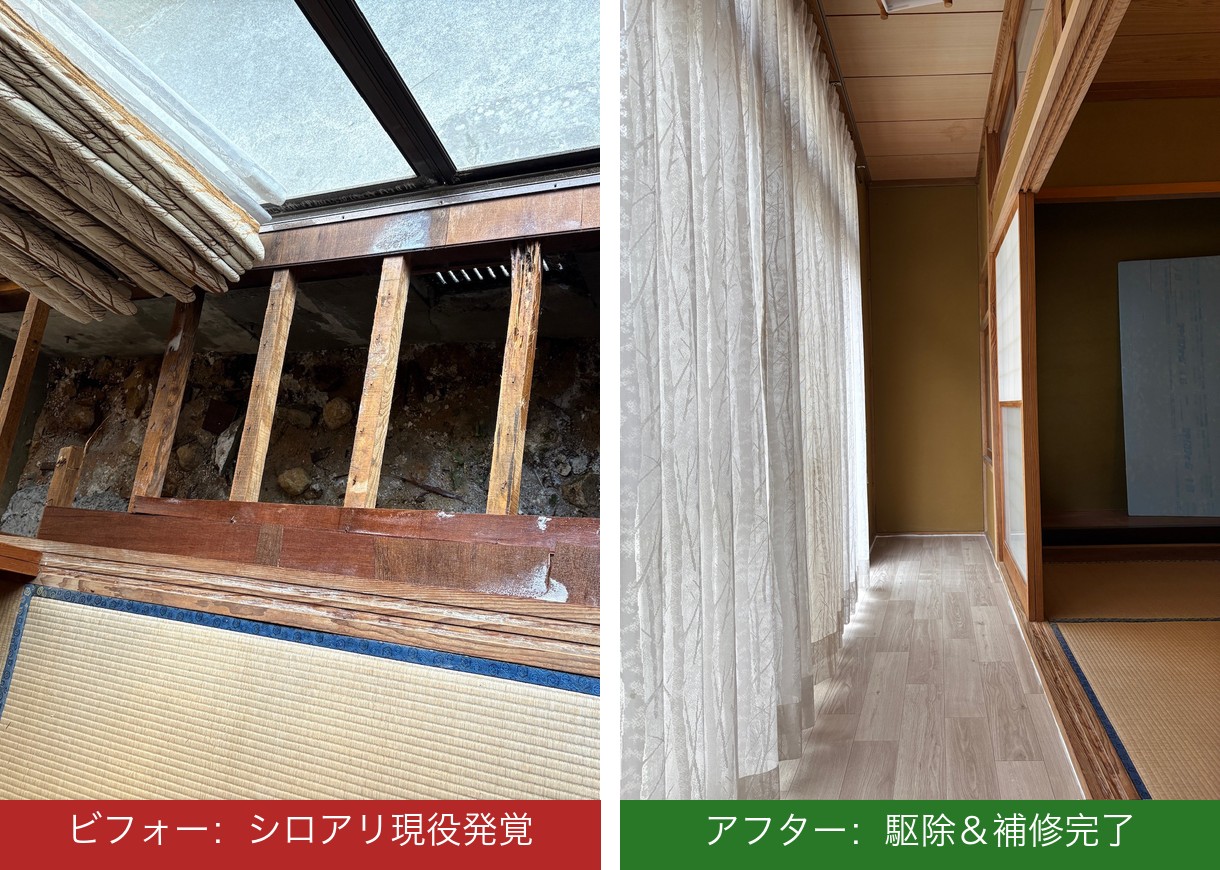 2棟目縁側ビフォーアフター：シロアリ現役発覚→駆除＆補修完了