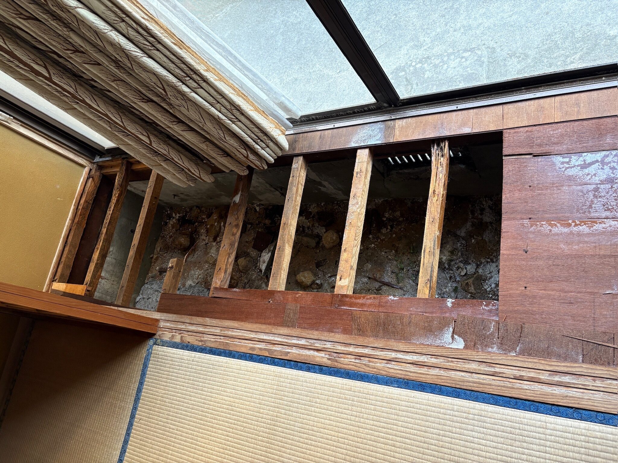 縁側の床を剥いだ瞬間、シロアリが現役で活動していた床下