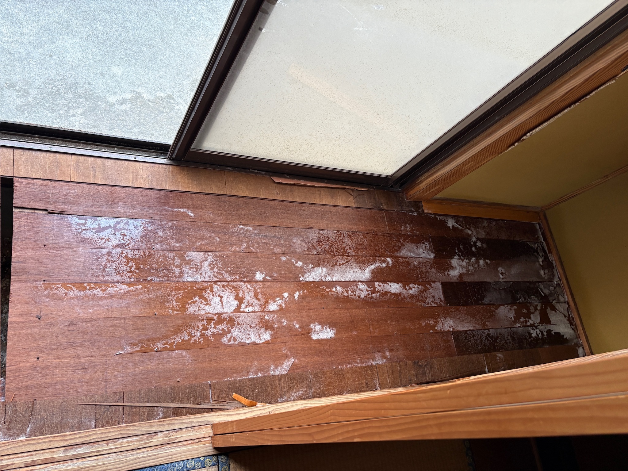 シロアリ業者が薬剤を散布した後の床下（木部がひたひた）