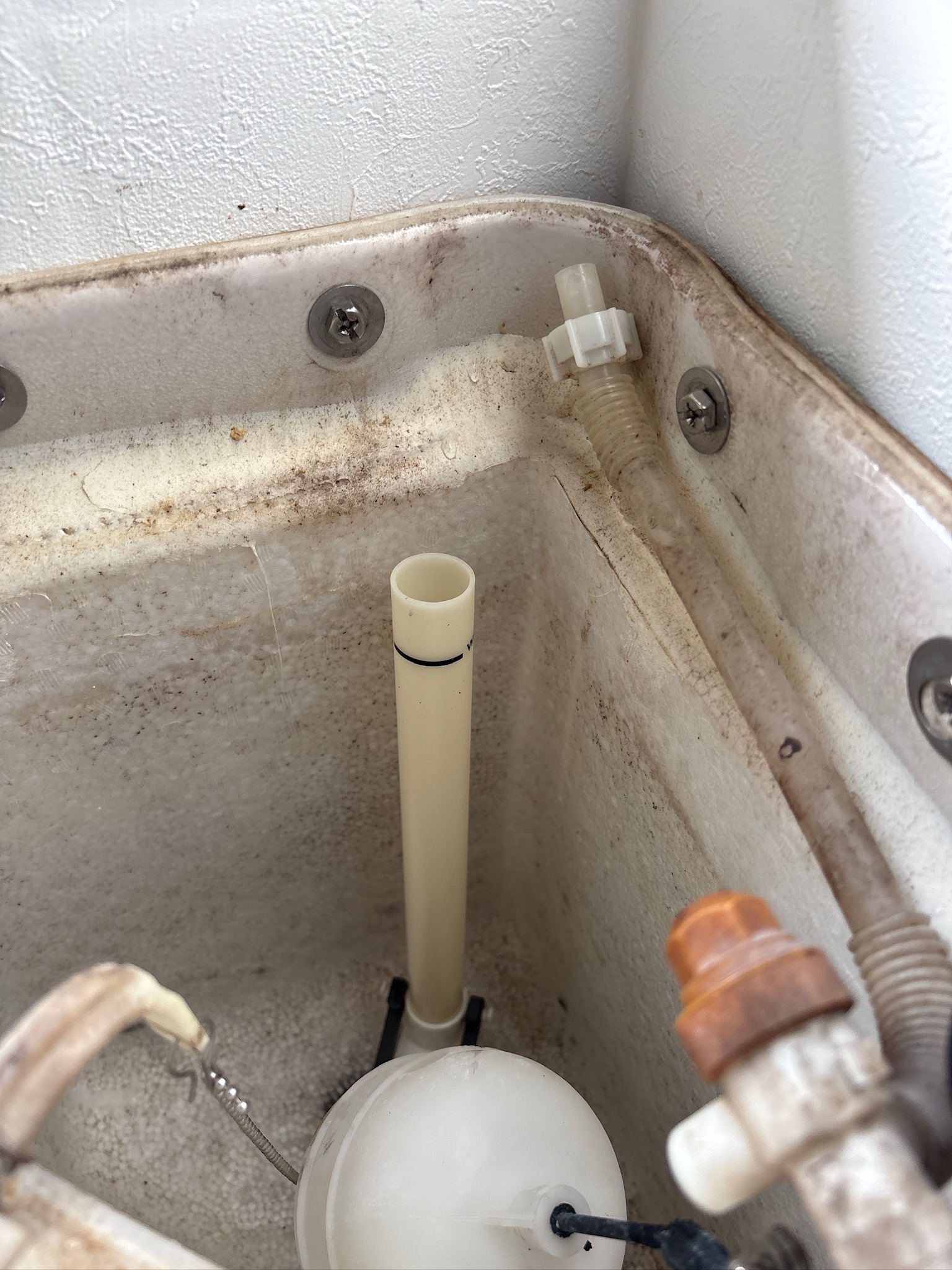 新しいサイフォンに交換後のタンク内部