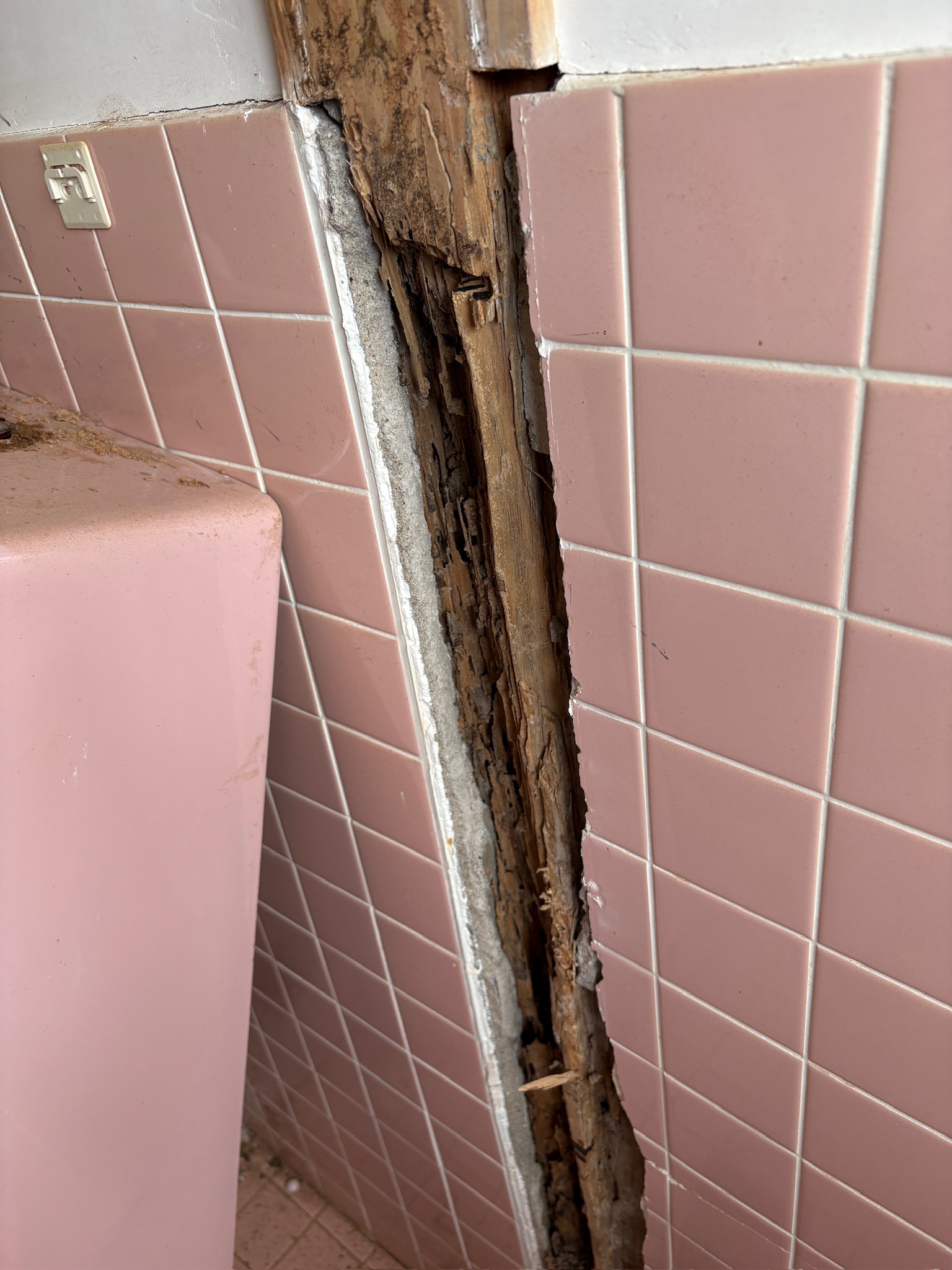 シロアリに食われた柱のアップ