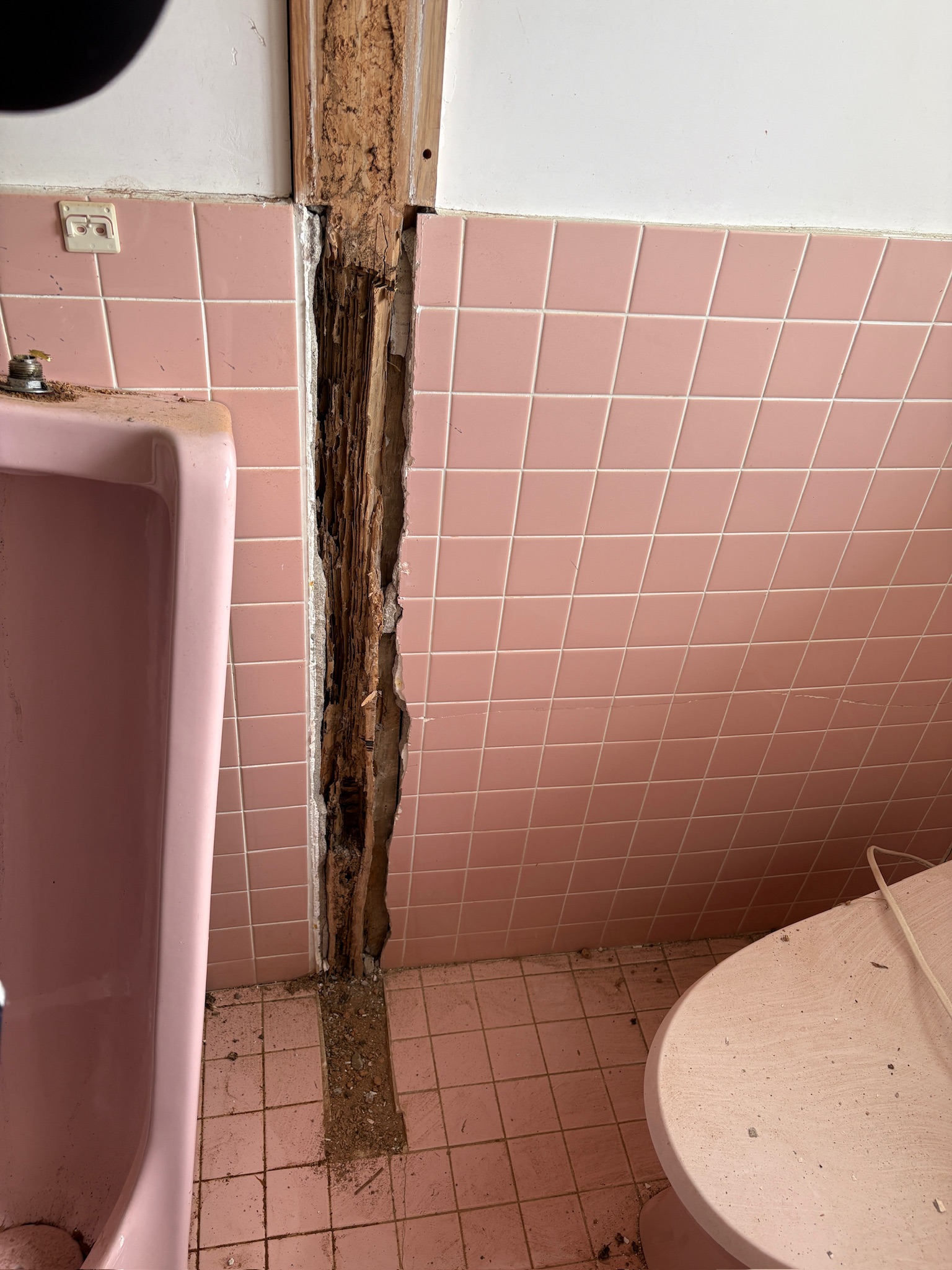 仕切り壁撤去後に現れたシロアリ被害の柱