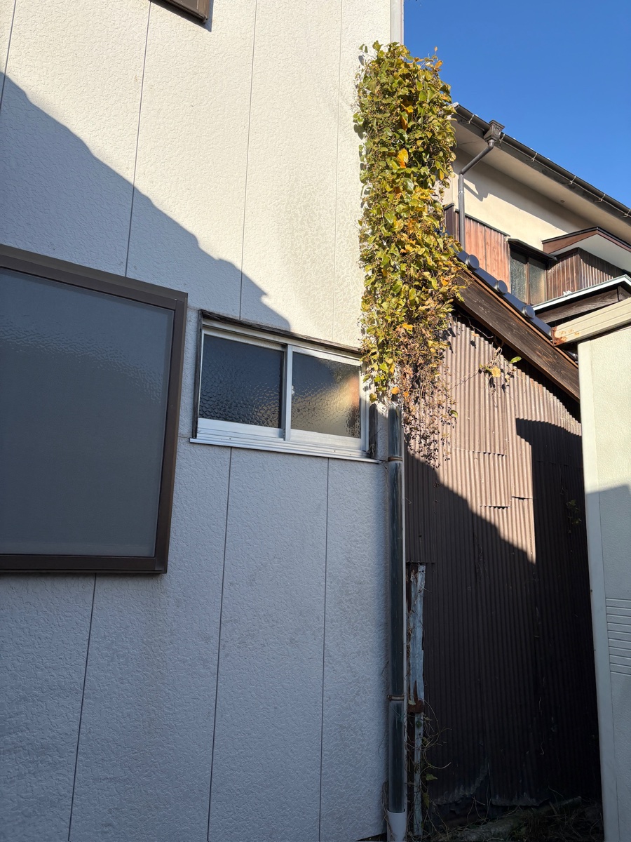 これからリノベするぞの一枚