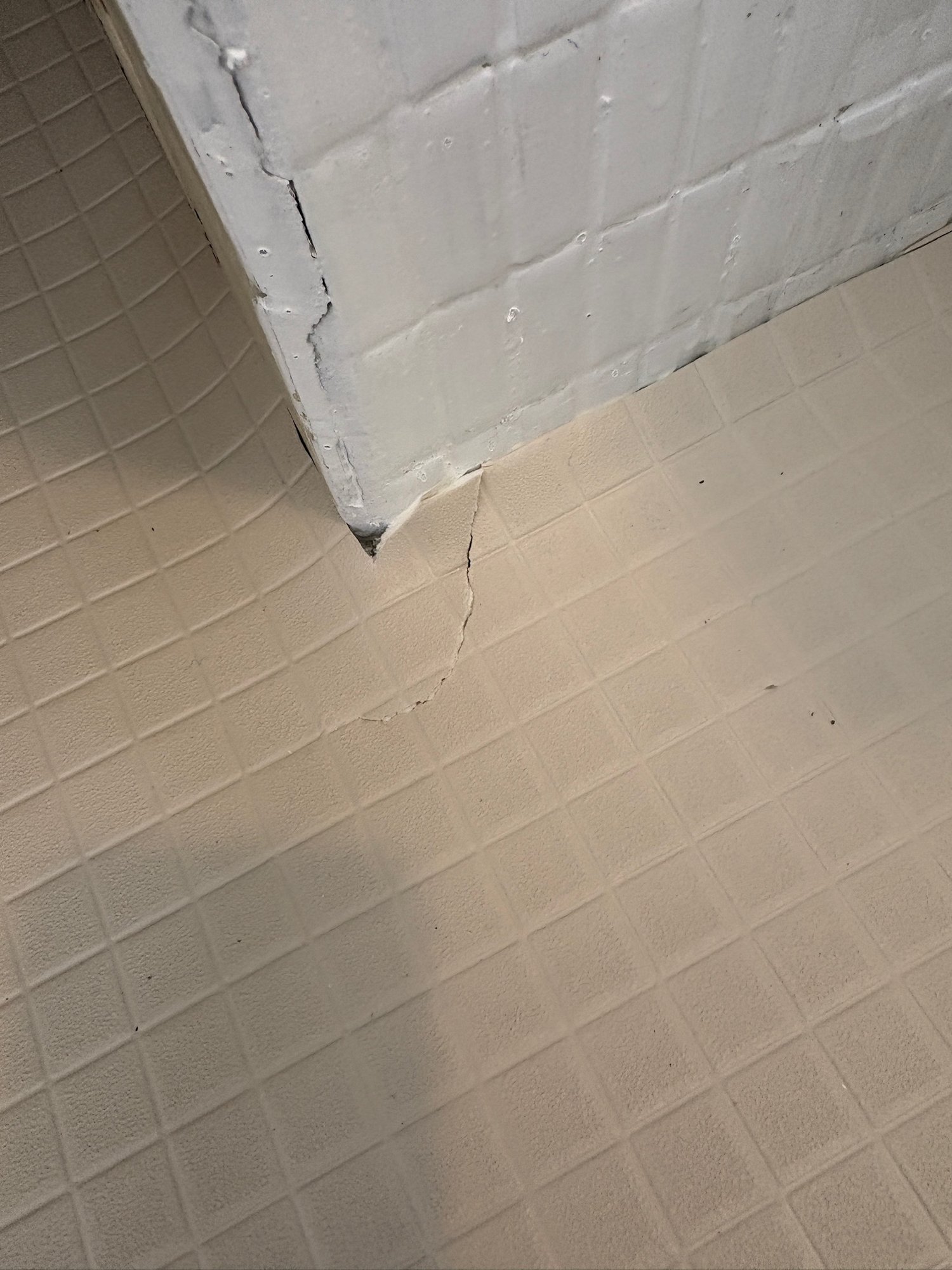 切っちゃいけないとこまでカット→シリコンで補修